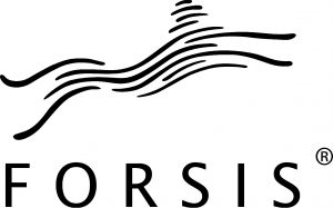 Das Logo der FORSIS GmbH symbolisiert einen springenden Gepard