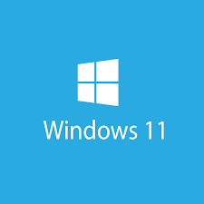 Windows11